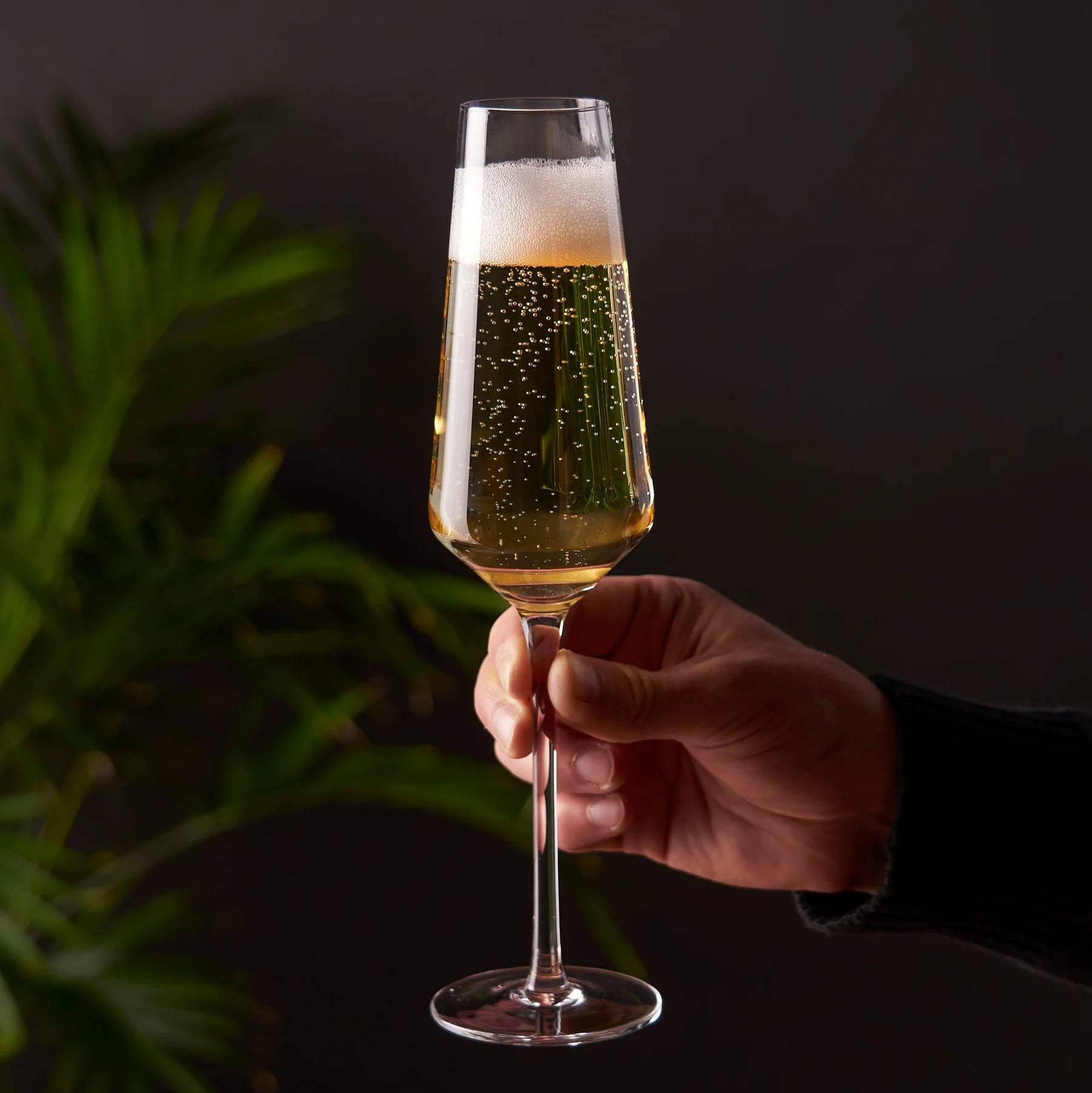 Copas de champán angulares de cristal Raye de Viski®